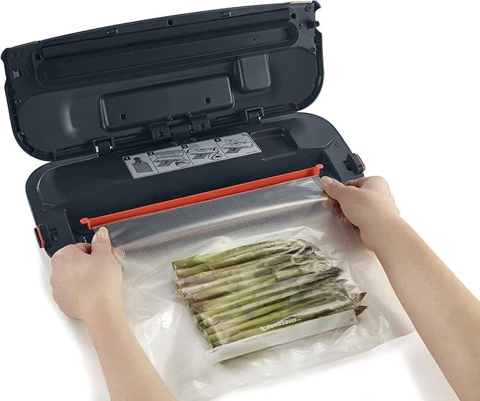 FoodSaver FFS013X