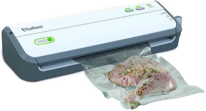FoodSaver FM2010