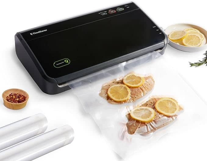 FoodSaver FM2100